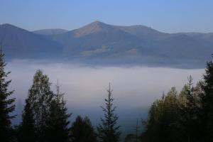 Велика Дзен Хата