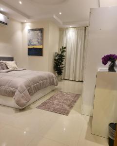 شقة أنيقة غرفة وصالة Vip - وصول ذاتي