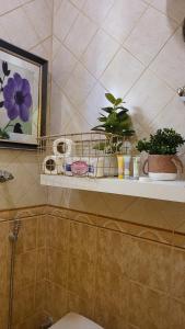 شقة أنيقة غرفة وصالة Vip - وصول ذاتي