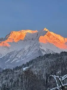 Vue splendide Mont Blanc - Mémontel