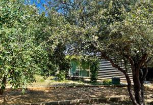 Maisons d'hotes Gite Les logis du Pech : photos des chambres