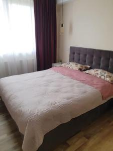 Apartament Mirela