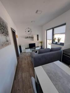 Apartmaji Tisa in Žana