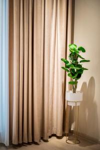 Apartament Zafi Lakeview by Sunny Mamaia