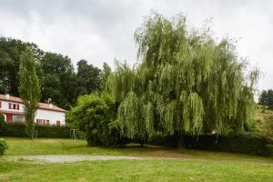 Maisons de vacances Altzugarria, ancienne ferme Basque, authentique et familiale a Sare : photos des chambres