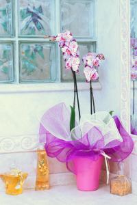 Il Vecchioliveto di Ornella img20