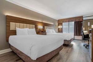 Queen Room with Two Queen Beds - Non-Smoking room in Best Western Plus Westbank