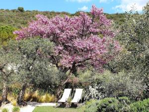 Maisons de vacances Charming holiday home with pool in Drome Provencale, Nyons : photos des chambres