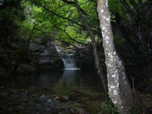 Guesthouse Kastania Orini-Korinthia Greece