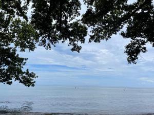 Borbons Treehouse By the Sea