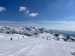 Aquamarin Studio 208