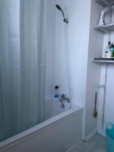 Appartements Grand T2 F2 Mulhouse Downtown FREE PARKING : photos des chambres