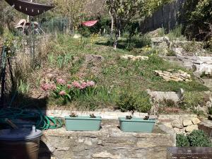 Maisons de vacances Nid douillet au coeur de la haute provence : photos des chambres