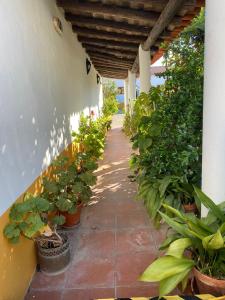 Casa de São Cucufate - Casa de Campo