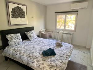 Appartements 3 Pieces climatise en rez de jardin avec piscine : photos des chambres