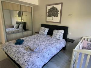 Appartements 3 Pieces climatise en rez de jardin avec piscine : photos des chambres