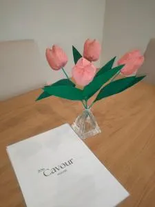 Casa vacanze 206 Cavour House - Osarella