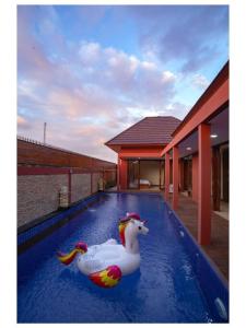 Dawn Light Villa, Sire