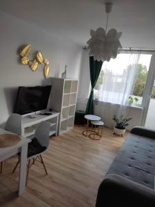 Apartament Wiola