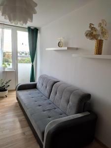 Apartament Wiola