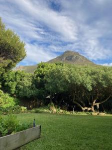 Selkie - Two Restful Studio Apartments near Noordhoek Beach & Restaurants