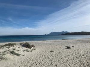 Domus de Diana img47