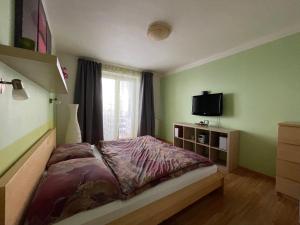 Horský Apartment David