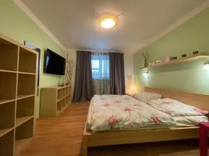 Horský Apartment David - تاترانسكا بوليانكا