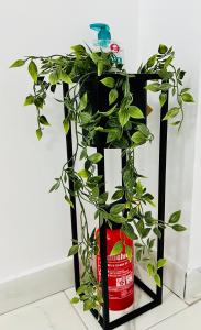 Altheda Living White House 29F-2