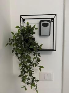 Altheda Living White House 29F-2