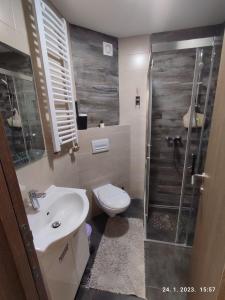 Vila Srna apartman 8