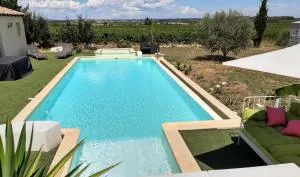 "Domaine 1902"piscine,billard,boulodrome,14 pers - Espondeilhan