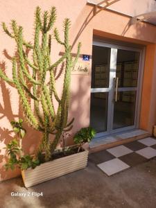 Appartements Beau studio / Clim / Parking / Plage a 200 m : photos des chambres