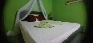 绿竹之家民宿 - Digampathaha