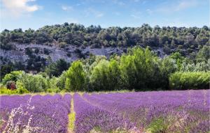 Maisons de vacances Awesome home in Pierrelatte with Outdoor swimming pool and 3 Bedrooms : photos des chambres