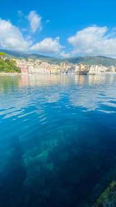Villas Villa entierement renovee avec piscine en plein coeur de Bastia - Corse : photos des chambres