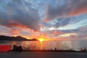 Bellavista - Blue Lizard Studio