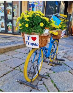 Palazzo Campisi rooms