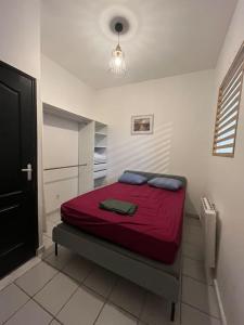 Appartements appart cosy 2P- proche metro, Lille a 15 min : photos des chambres