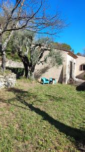 B&B / Chambres d'hotes Le Mas Melusine : photos des chambres