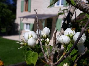 Maisons de vacances Gite des Gravets : photos des chambres