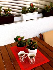Voska Apartment