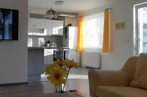 Rodinný apartmán Lucie v blízkosti Wellness hotelu ve Frymburku