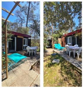 Les fougères A81 Les villages sous les pins LEON 40550