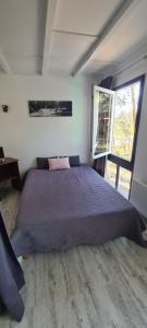 Les fougères A81 Les villages sous les pins LEON 40550