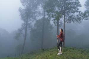 Cassia Resort, Kasauli