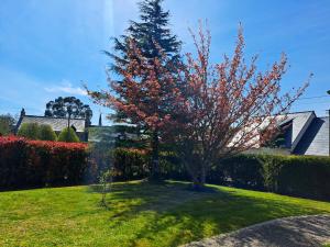 Maisons de vacances Maison cosy a Saint-Meloir-des-Ondes avec jardin prive : photos des chambres