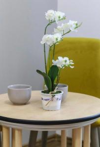 Rabbit Hole Superior Extension