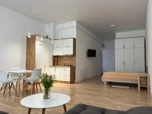 Central Square Apart - 舍绍里