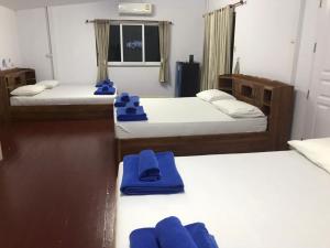 Tree in town ทรีอินทาวน์